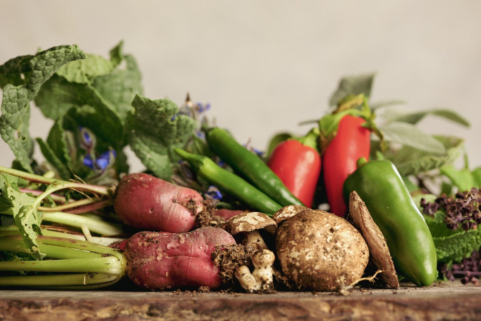 Fresh vegetables