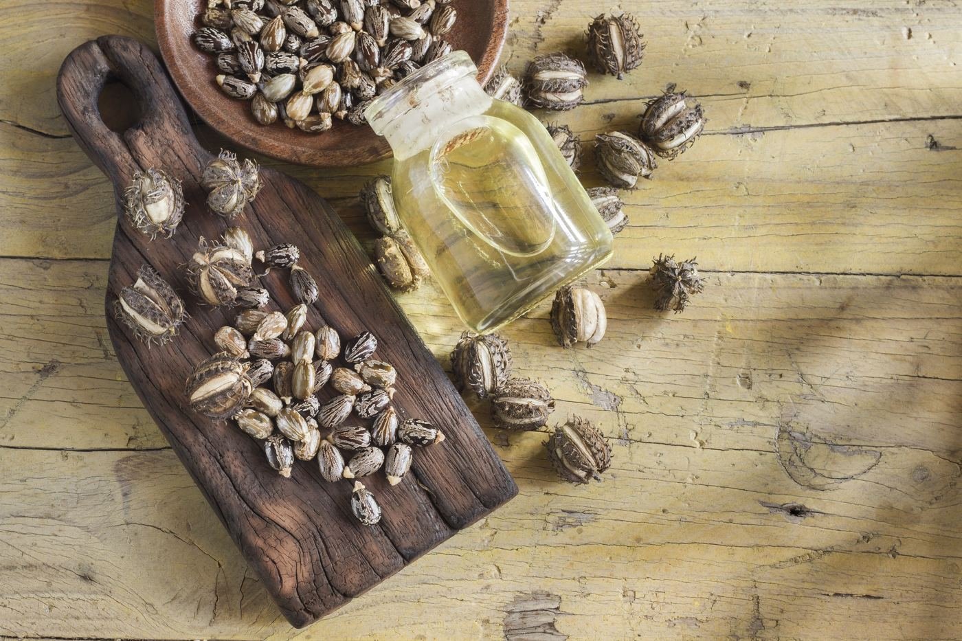 Castor oil manufacturing