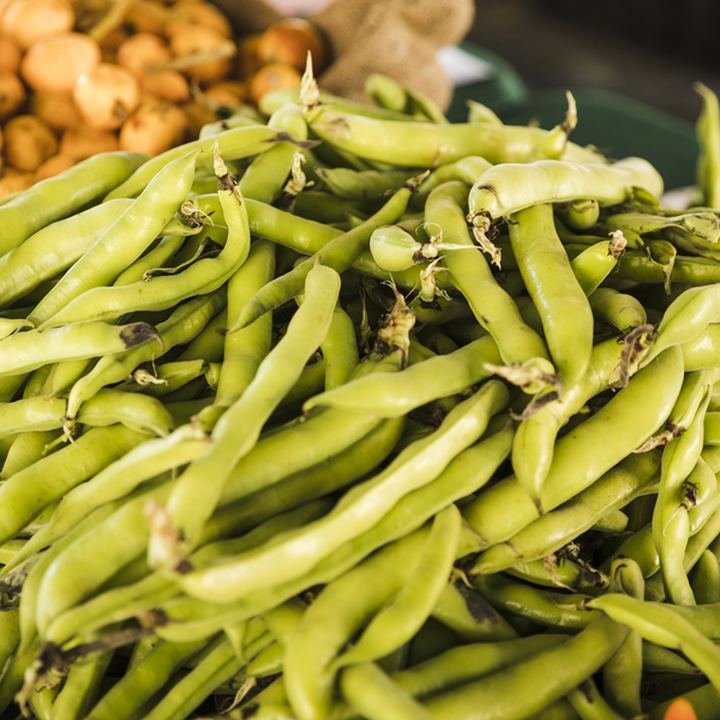 Cluster Bean (Guar)