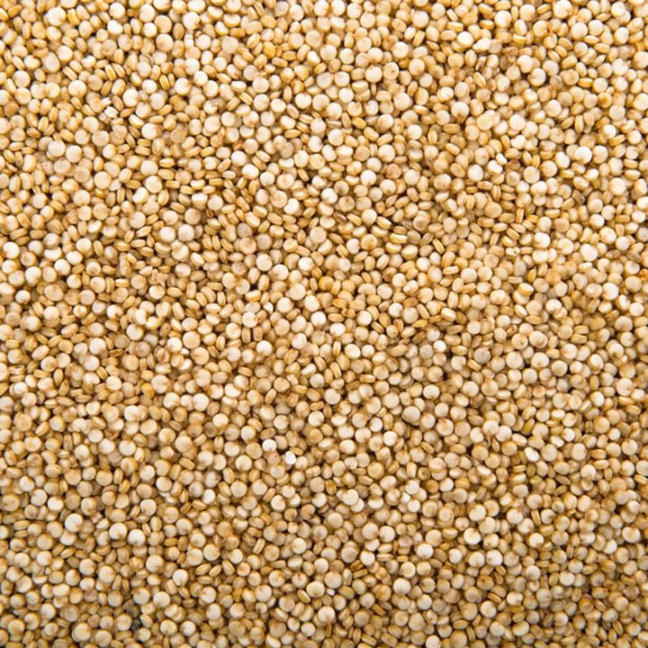 Sorghum (Jowar)
