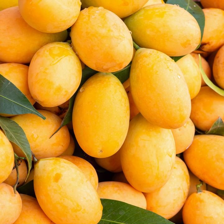 Kesar Mangoes