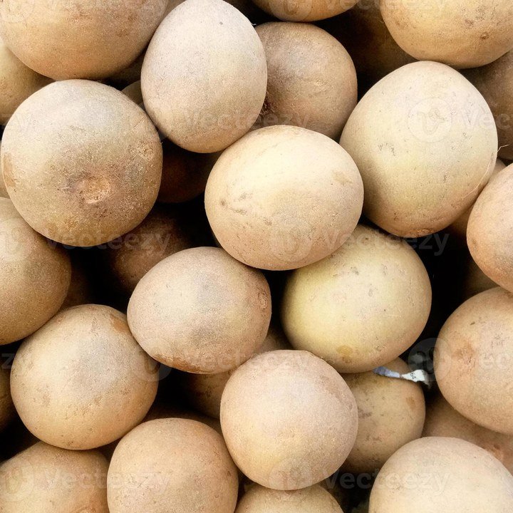 Sapota / Chikoo (Chikoo)