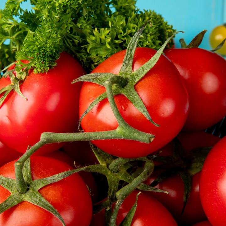 Tomato (Tameta)